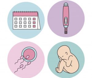 Tüp Bebek Tedavisine Nasıl Başlar?