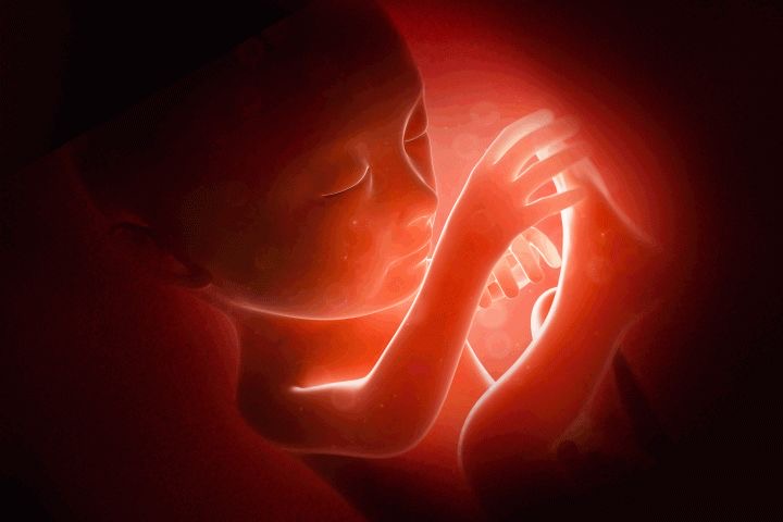 Kısırlık (İnfertilite) Nedir? Tüp Bebek Tedavisi