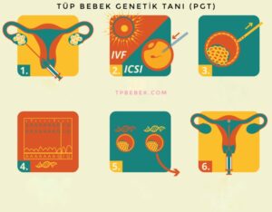 Tüp bebek Preimplantasyon genetik tanı-PGT Avantaj ve Dezavantajları